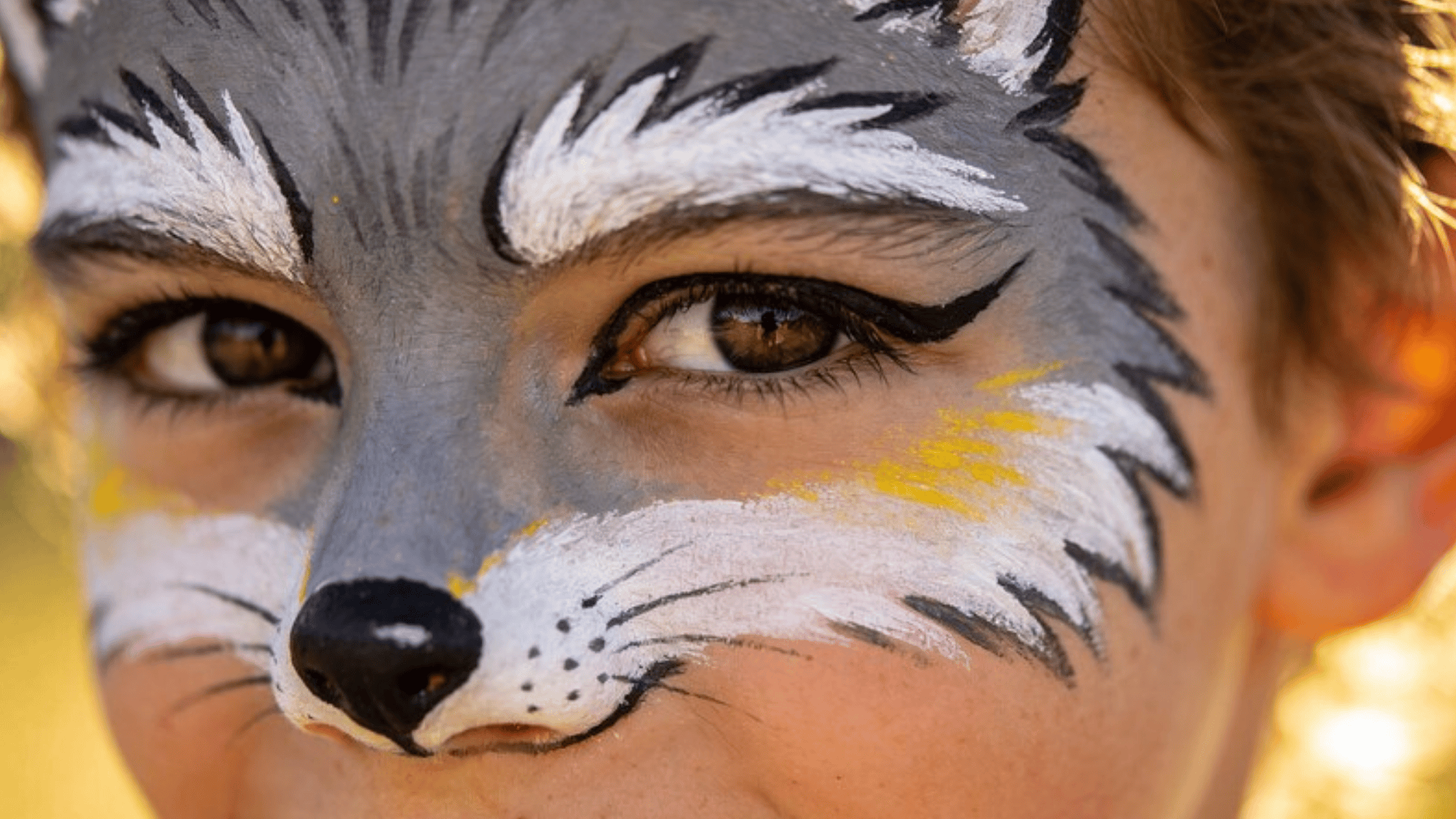 wolf face paint around a kid's eyes and the nose, using various paint colors